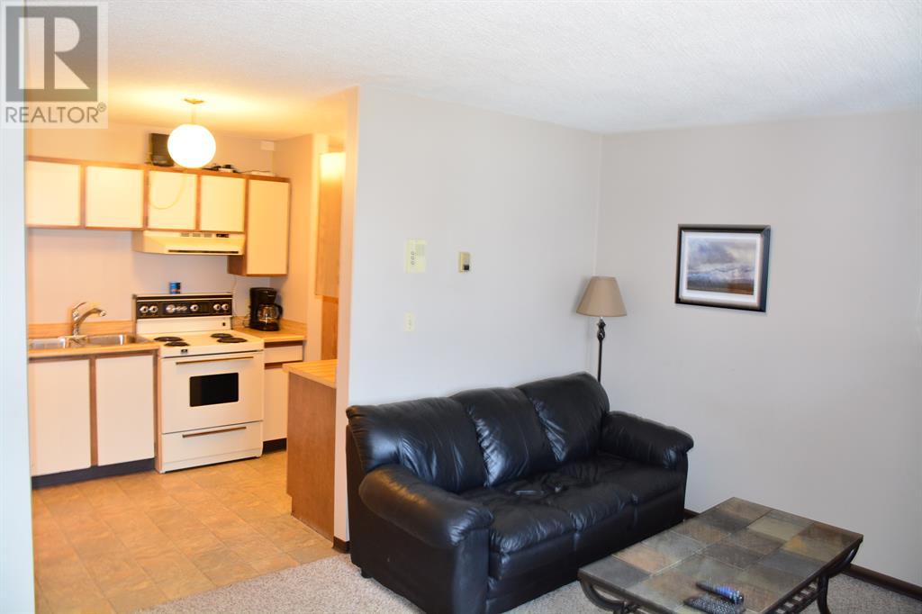101-215, 10118 100 Avenue Property Photo 21