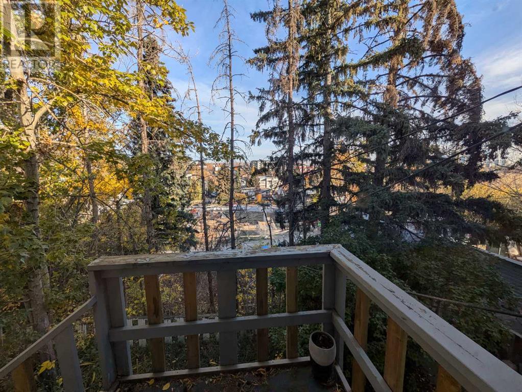 1824 29 Avenue Sw Property Photo 37