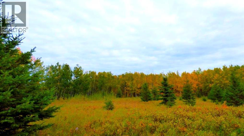 208541 6 Property Photo 4