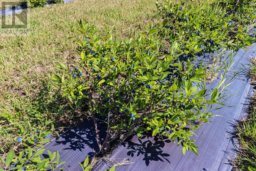 705068 82 Range Property Photo 17