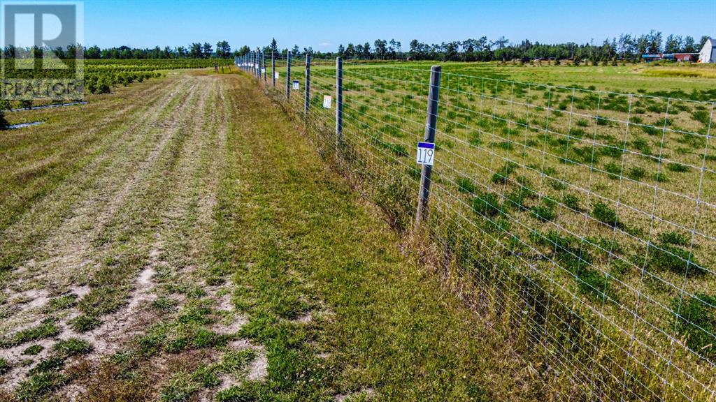 705068 82 Range Property Photo 23