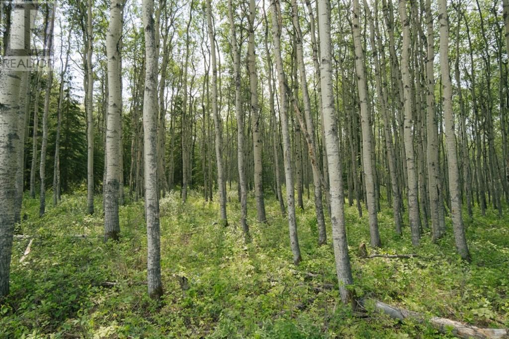 Lot 3, Range Road 84 Township Road 722 Property Photo 1