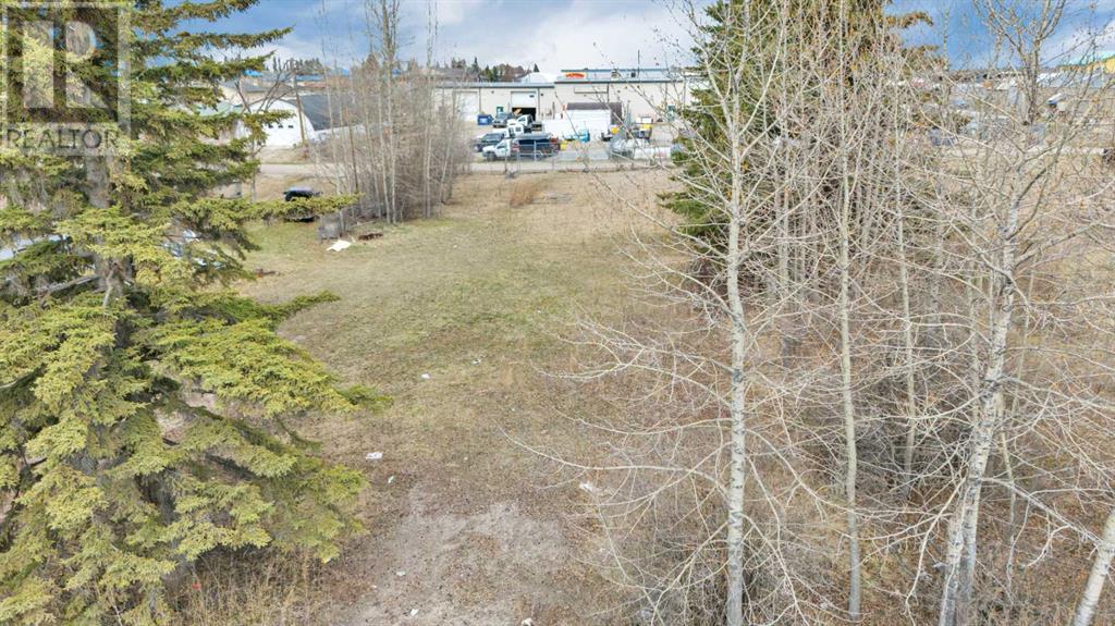 4424 45a Avenue Property Photo 4