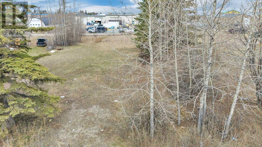 4424 45a Avenue Property Photo 6