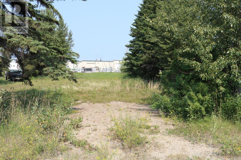 4424 45a Avenue Property Photo 10