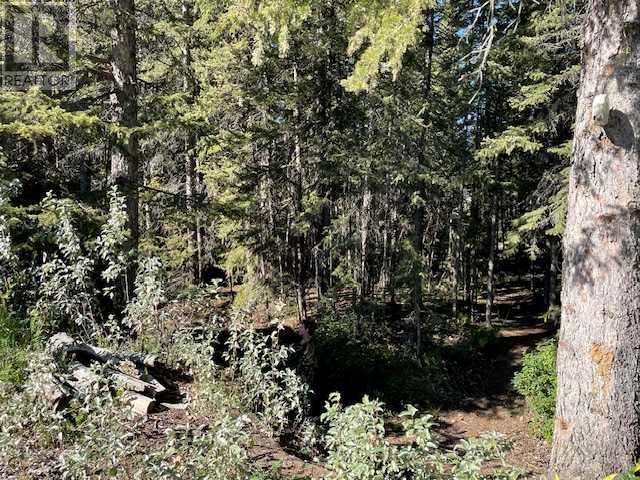 D Timber Road Property Photo 6
