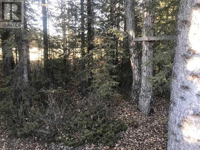D Timber Road Property Photo 8