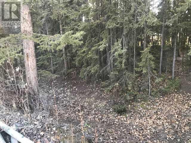 D Timber Road Property Photo 9