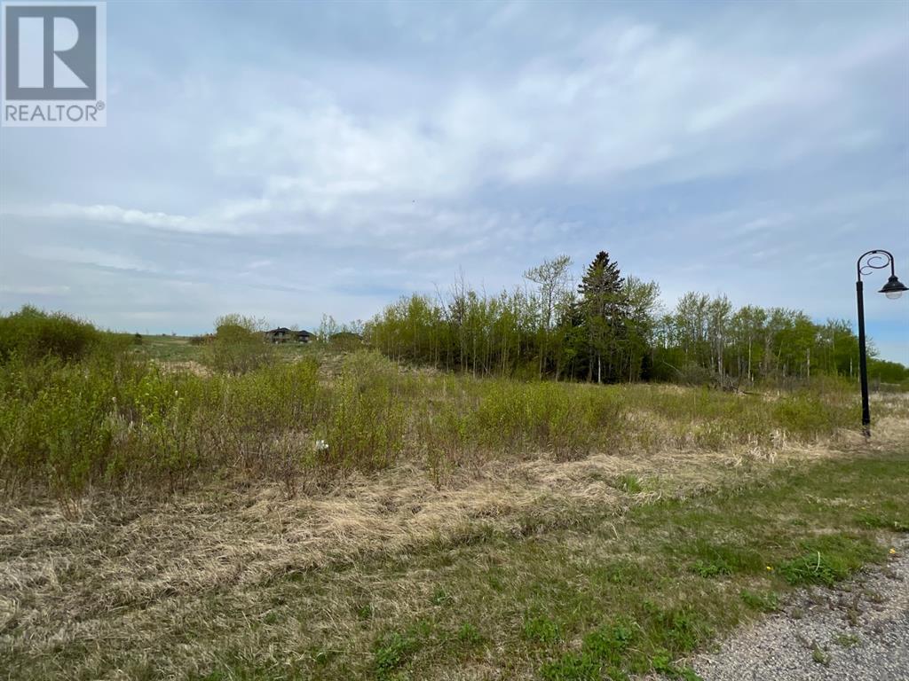 313 Wolf Run Drive Property Photo 1