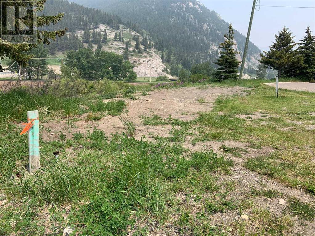 13537 19 Avenue Property Photo 3