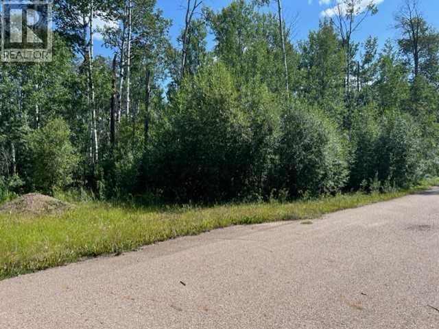 146 Poplar Drive Rr Property Photo 4