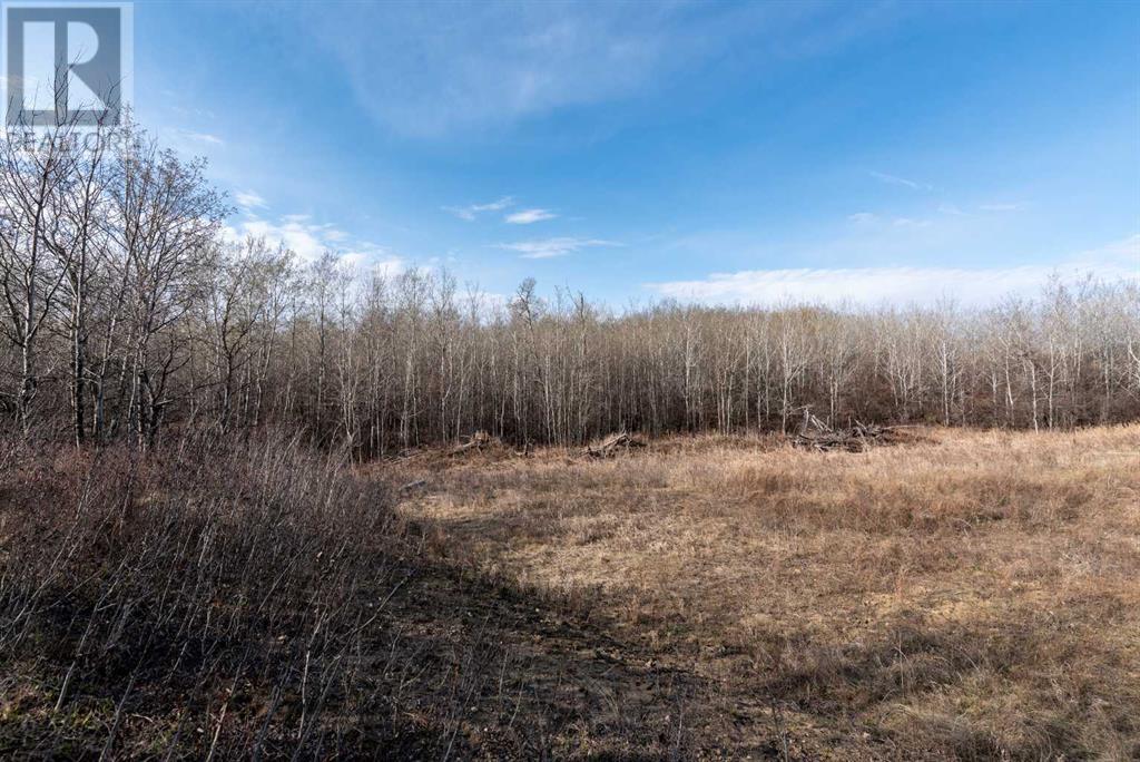 50251 Rge. Rd. 25 Property Photo 19