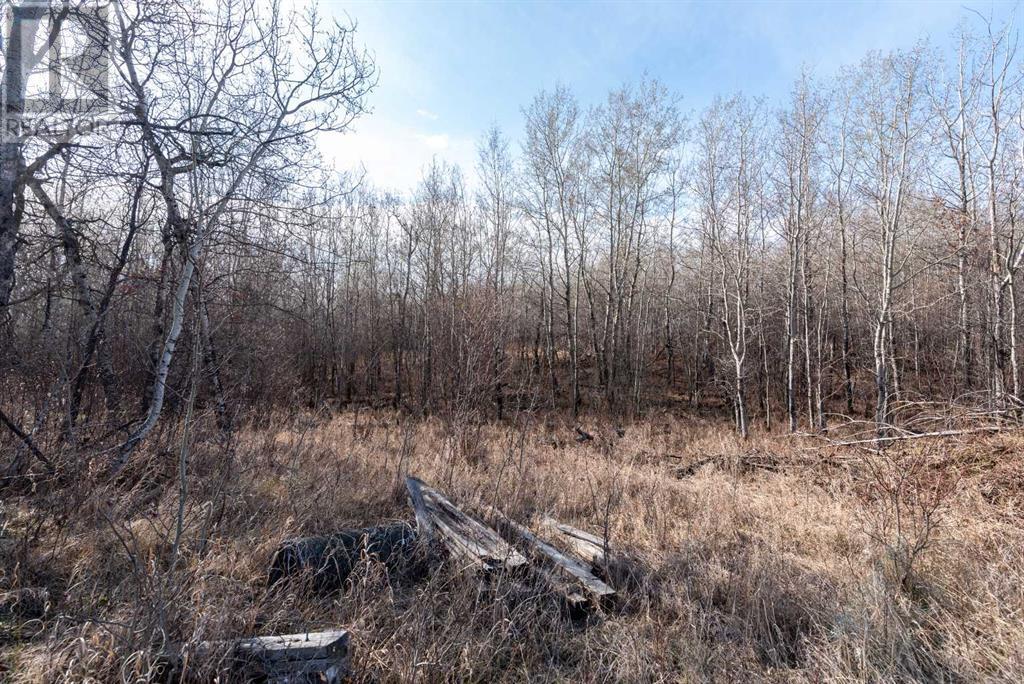50251 Rge. Rd. 25 Property Photo 20