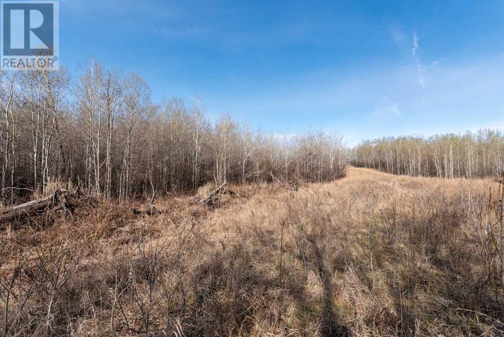 50251 Rge. Rd. 25 Property Photo 22