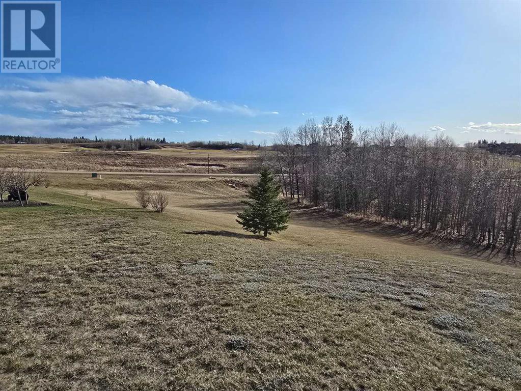 414 Sand Hills Drive Property Photo 2