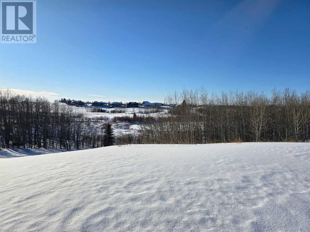 414 Sand Hills Drive Property Photo 20