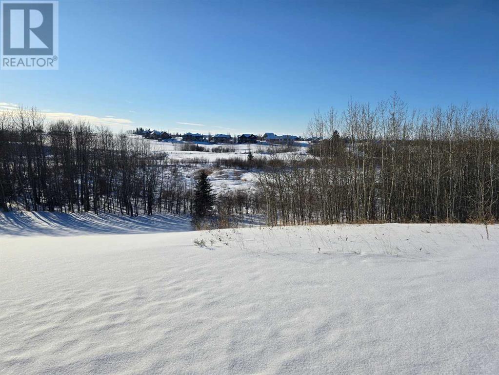 414 Sand Hills Drive Property Photo 21