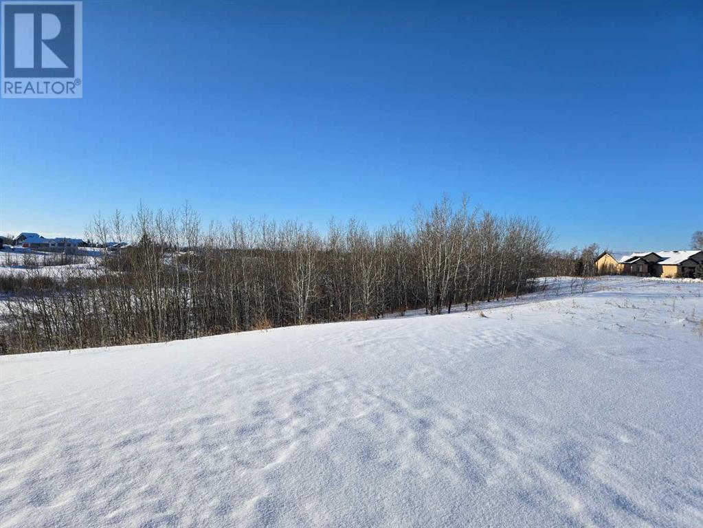 414 Sand Hills Drive Property Photo 22