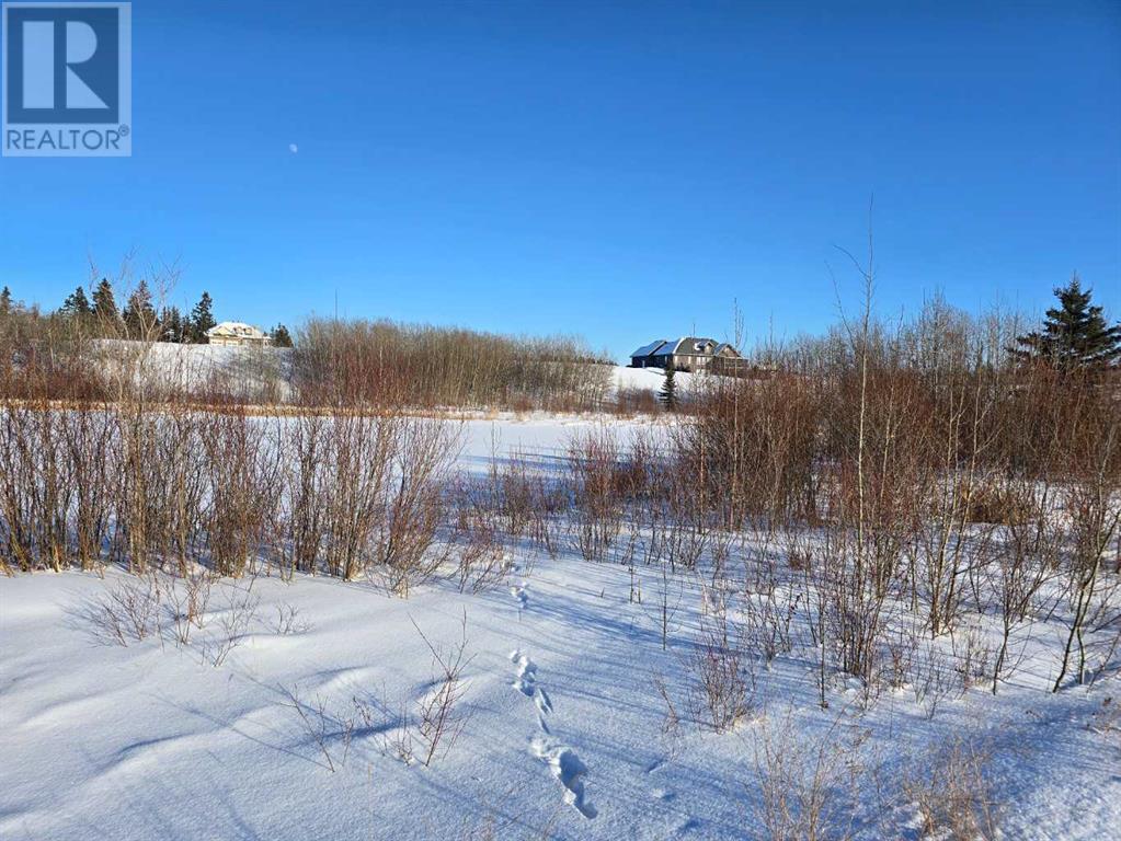 414 Sand Hills Drive Property Photo 23