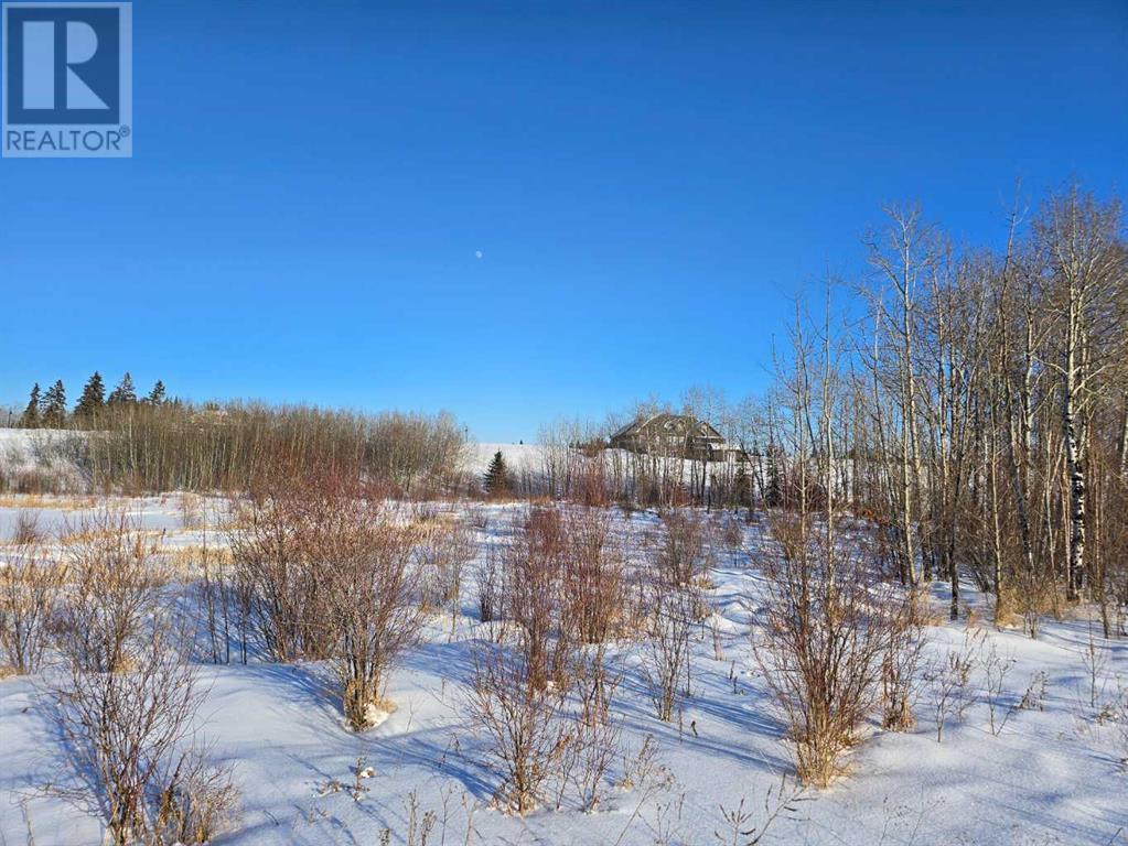 414 Sand Hills Drive Property Photo 24