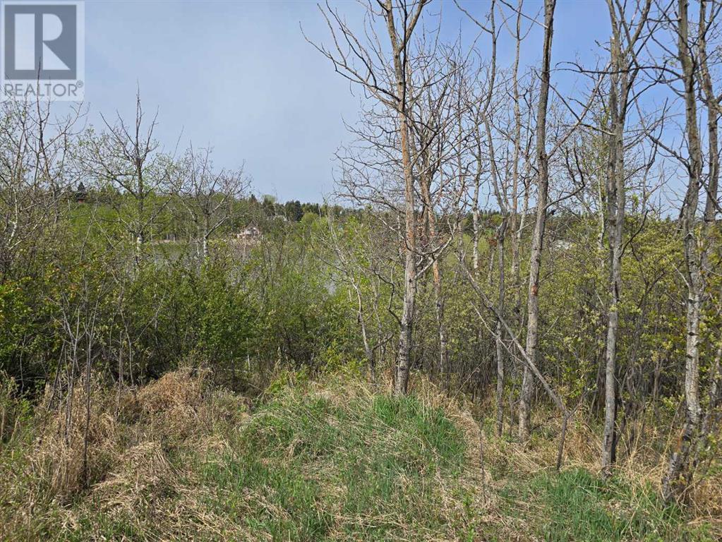 20 Cranna Lake Drive Property Photo 7