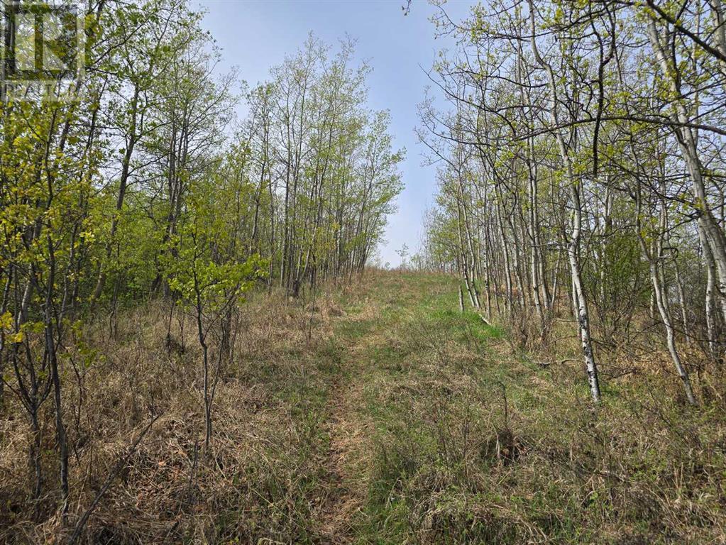 20 Cranna Lake Drive Property Photo 46