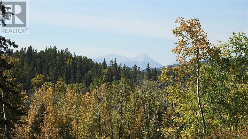 108 Acres Bordering Kananaskis Property Photo 3