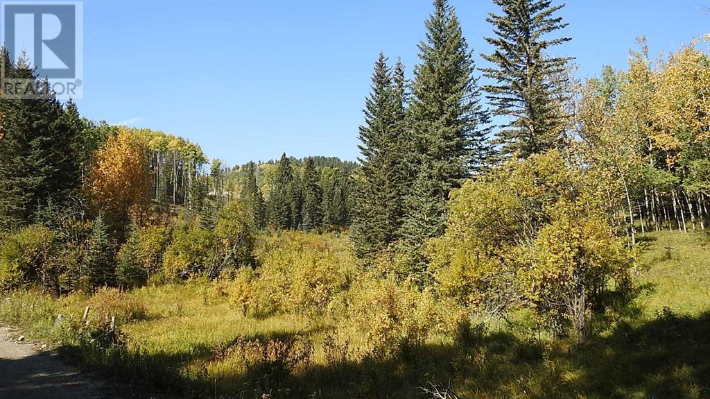108 Acres Bordering Kananaskis Property Photo 7