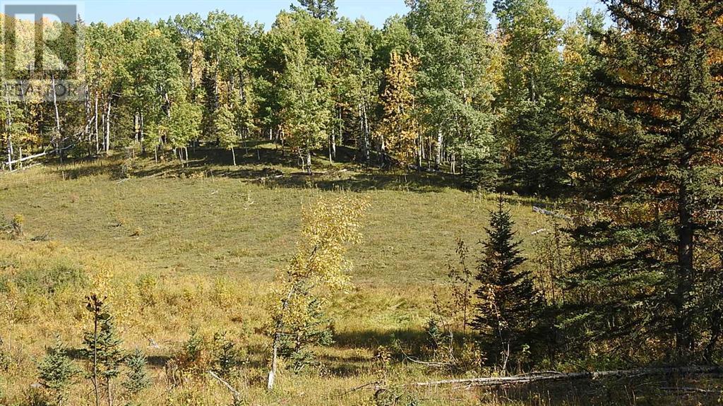 108 Acres Bordering Kananaskis Property Photo 8