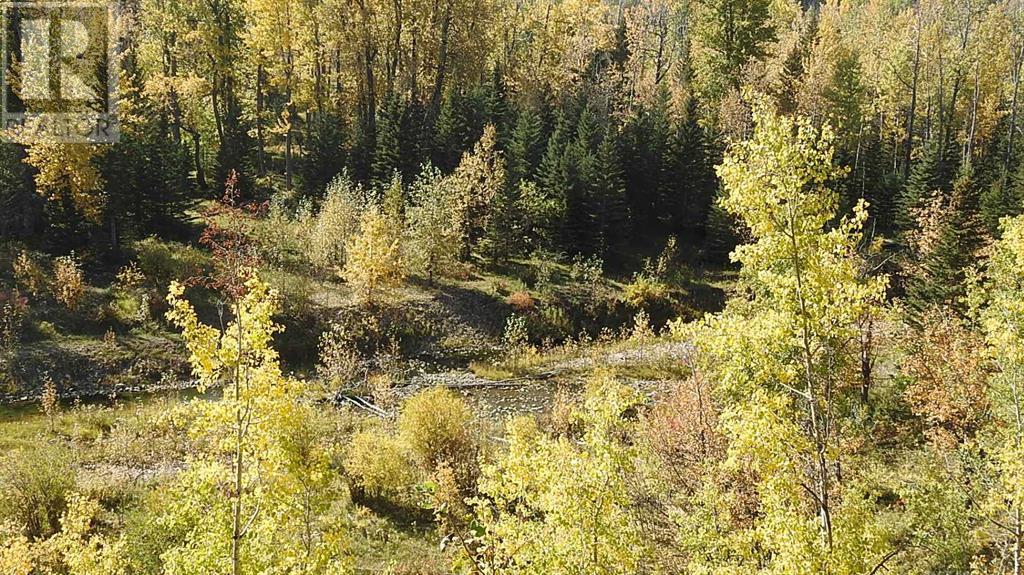 108 Acres Bordering Kananaskis Property Photo 9