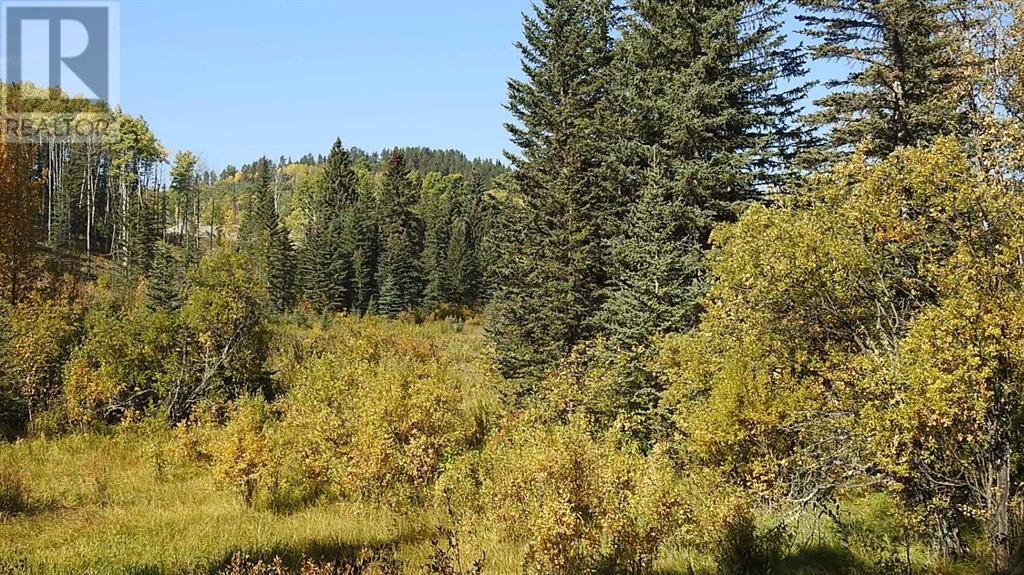 108 Acres Bordering Kananaskis Property Photo 12