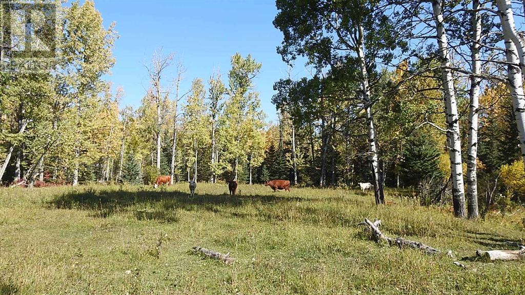 108 Acres Bordering Kananaskis Property Photo 14