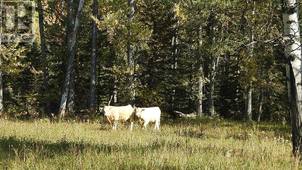 108 Acres Bordering Kananaskis Property Photo 15