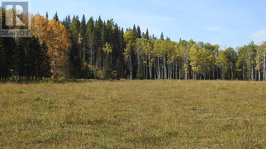 108 Acres Bordering Kananaskis Property Photo 16