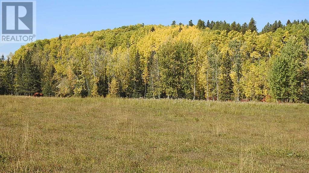 108 Acres Bordering Kananaskis Property Photo 17