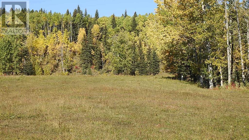 108 Acres Bordering Kananaskis Property Photo 18