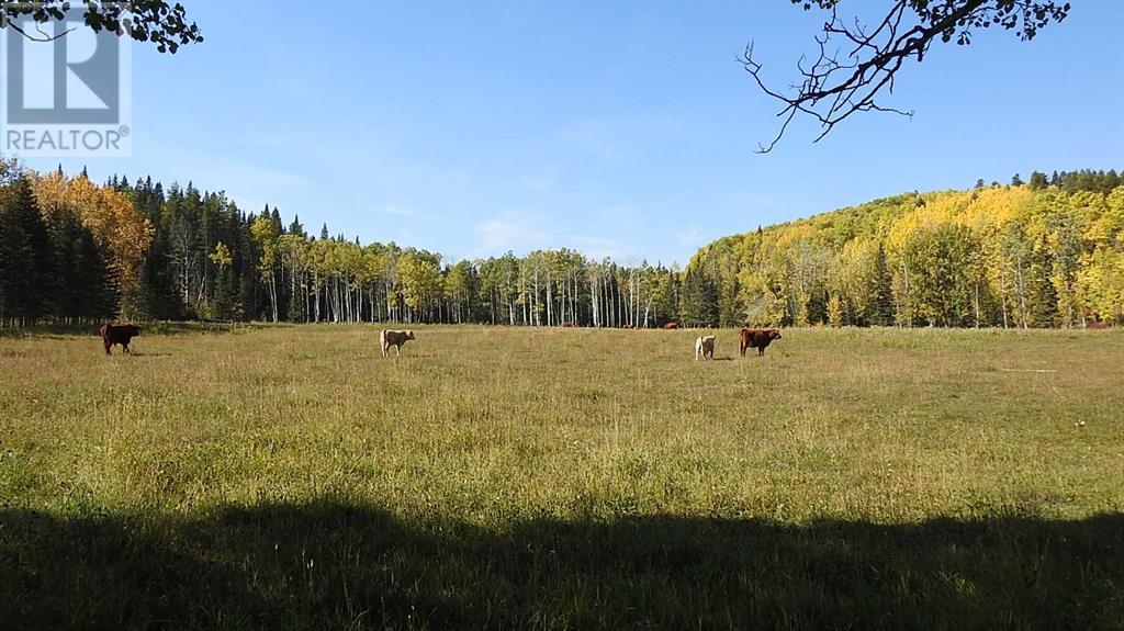 108 Acres Bordering Kananaskis Property Photo 19