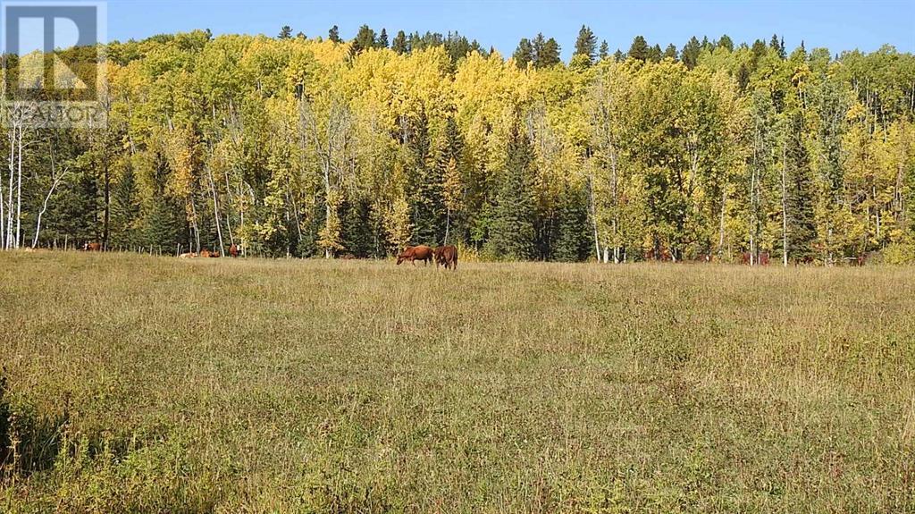 108 Acres Bordering Kananaskis Property Photo 20