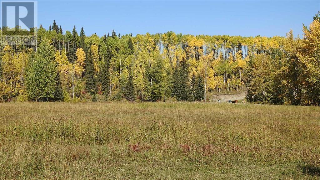 108 Acres Bordering Kananaskis Property Photo 21