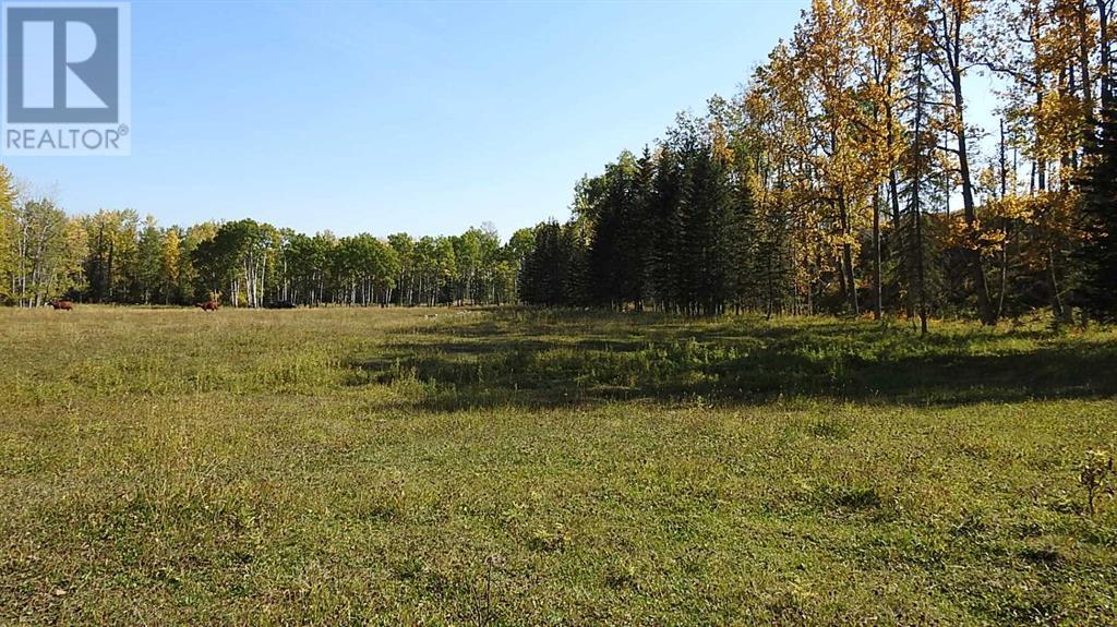 108 Acres Bordering Kananaskis Property Photo 24