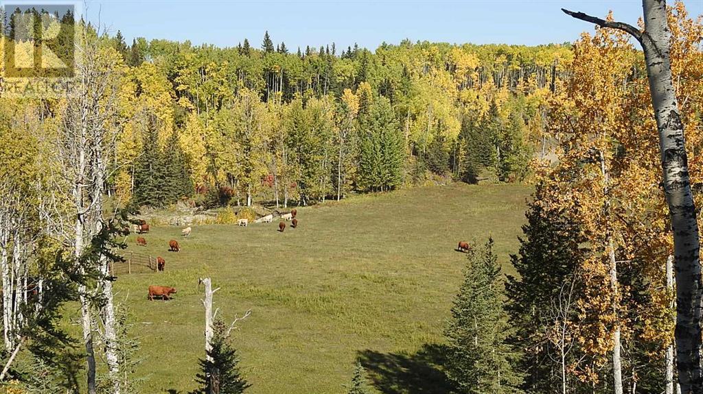 108 Acres Bordering Kananaskis Property Photo 25