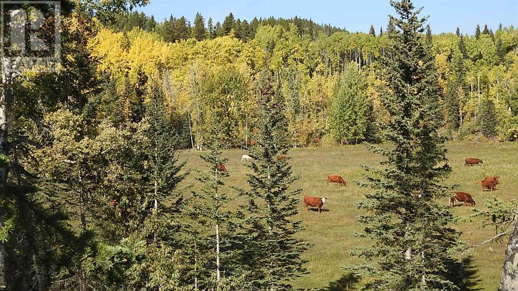 108 Acres Bordering Kananaskis Property Photo 26