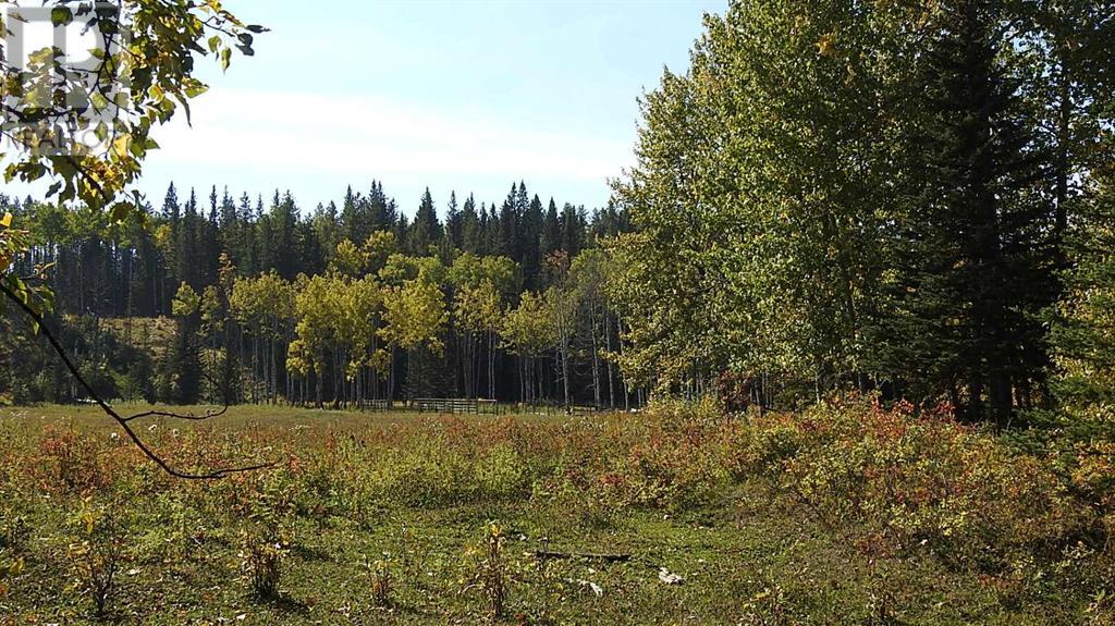 108 Acres Bordering Kananaskis Property Photo 31
