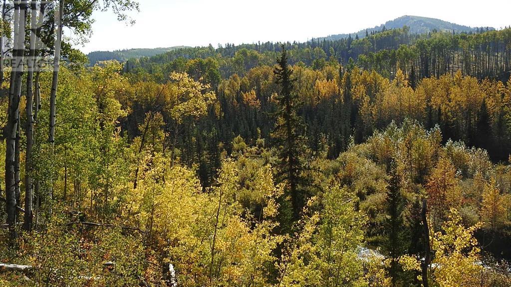 108 Acres Bordering Kananaskis Property Photo 37