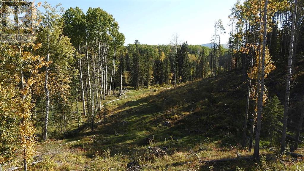 108 Acres Bordering Kananaskis Property Photo 39