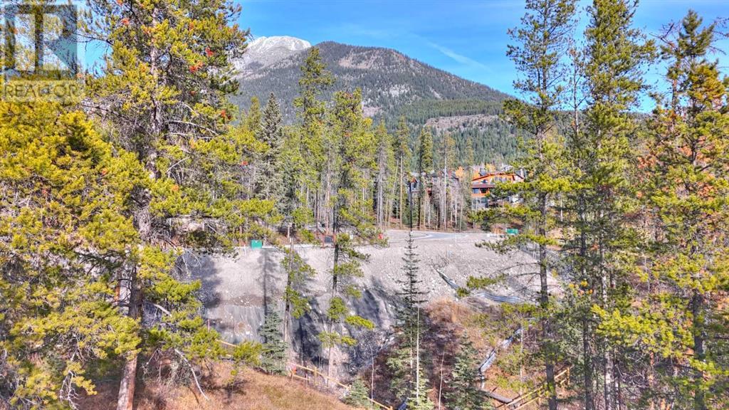 442 Mountain Tranquility Place Property Photo 22