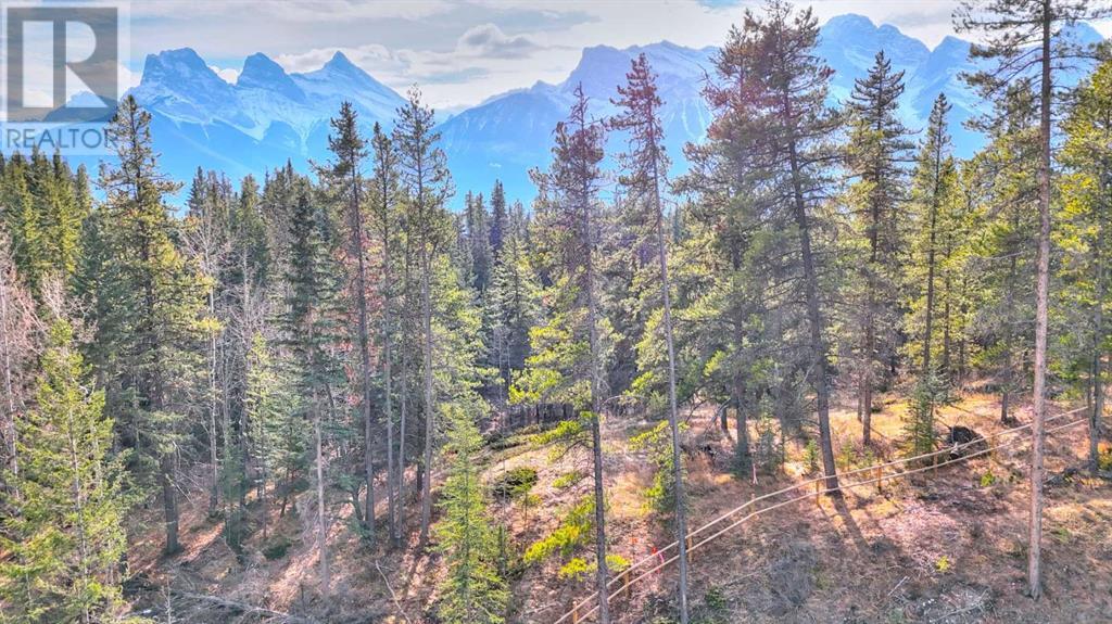 442 Mountain Tranquility Place Property Photo 23