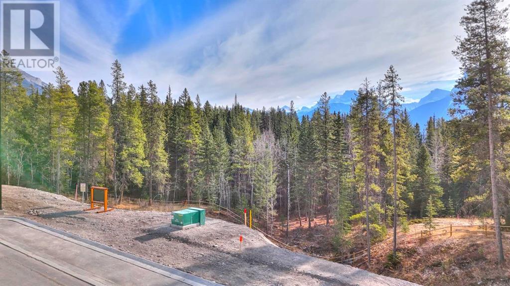 442 Mountain Tranquility Place Property Photo 34