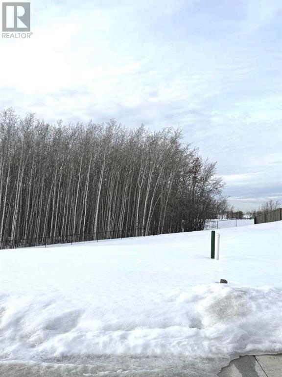 8206 121 Street Property Photo