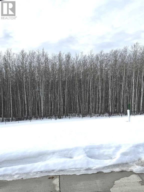 12042 77 Avenue Property Photo 2